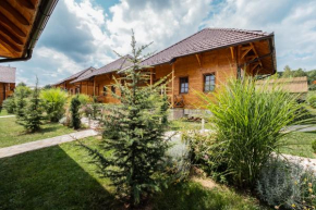 Kedar selo Goč
